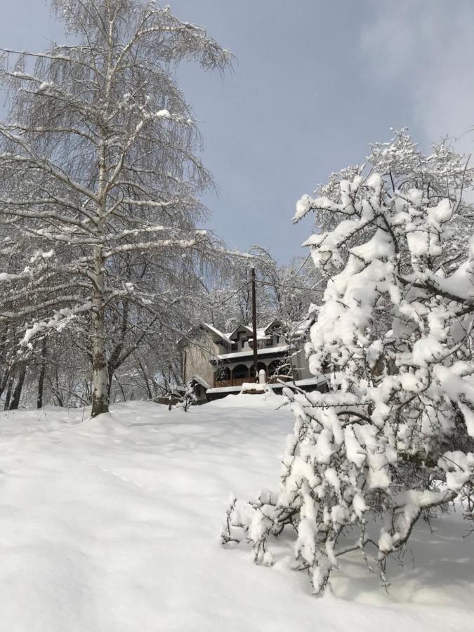 Kuca Za Odmor ,,Balkan” Villa Crni Vrh Exterior photo